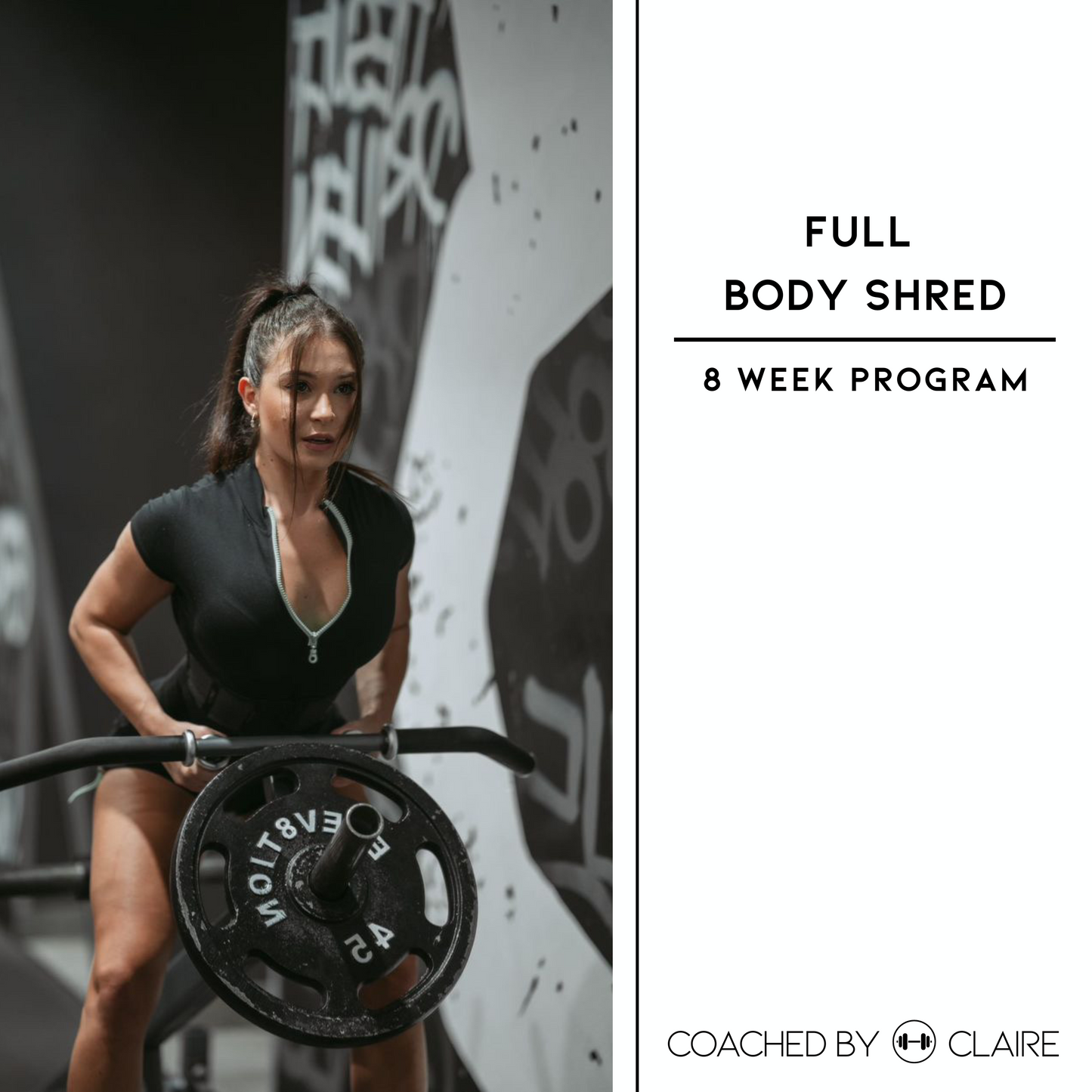 8 Week Full Body Shred - PHASE 1